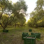 Anna-rosa Διαμέρισμα
